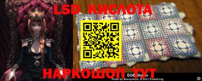 дмт Берёзовский