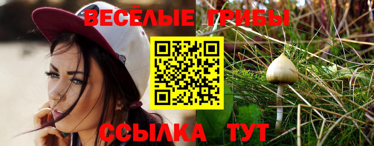 Кемерово  продажа наркотиков  Вход с VPN  Галлюциногенные грибы Magic Shrooms  Галлюциногенные грибы ЛСД 